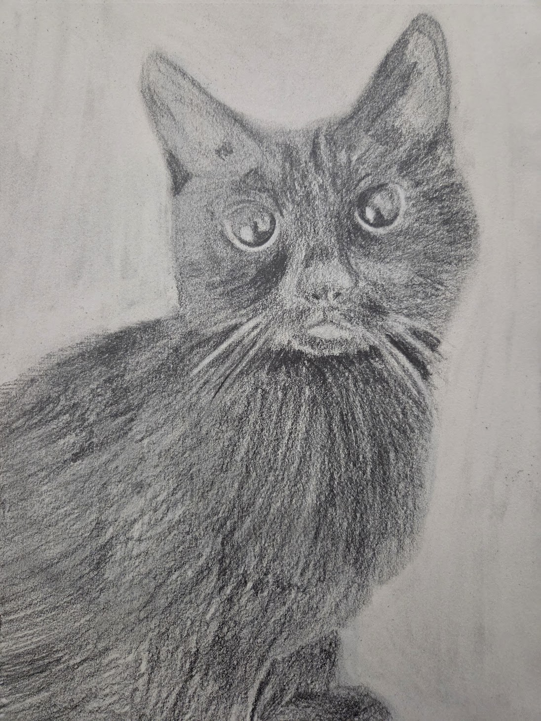 Art 5